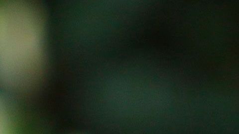 Guillermo Álvarez, el presidente del Cruz Azul.