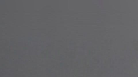 Los cactus absorben las malas energías.