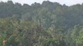 Patrulla Fronteriza Niagara