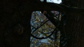 Soñar con un panteón tiene diversas interpretaciones.