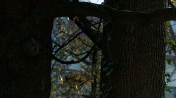 Soñar con un panteón tiene diversas interpretaciones.