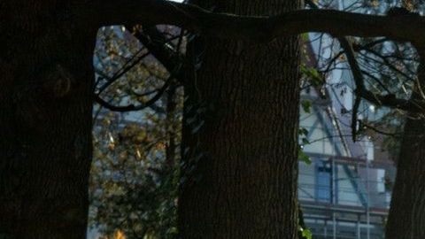 Soñar con un panteón tiene diversas interpretaciones.