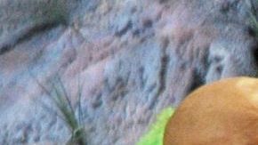 Víctor "Trujillo" Brozo y Andrés Bustamante "Ponchito"