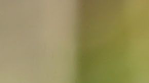 Bruce Lee, un ícono inmortal.