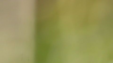 Bruce Lee, un ícono inmortal.
