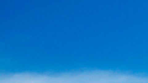 Floyd falleció debido a un paro cardiorespiratorio, según forense del condado.