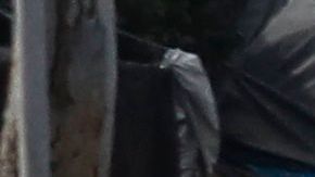 El Departamento de Policía de Los Ángeles ha arrestado a miles de personas por violaciones al toque de queda.