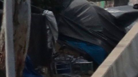 El Departamento de Policía de Los Ángeles ha arrestado a miles de personas por violaciones al toque de queda.