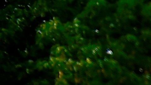 Muerte de George Floyd