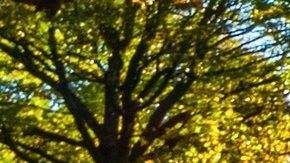 España apuesta por la movilidad eléctrica en los autos y activa el Plan MOVES 2020.