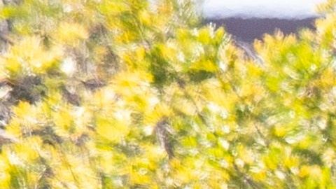 California está realizando más pruebas de coronavirus.