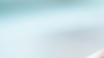 Crédito: Choreogragh/Canva