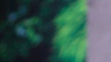 Chiquibaby de 'Un nuevo día"