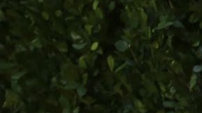 El cantante se encuentra ahora en un buen momento y acaba de presentar nueva música.