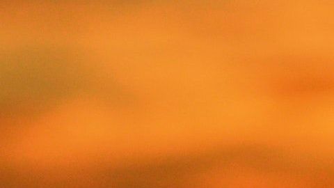 El agua sagrada cura enfermedades del alma.