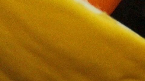 La familia vive en Londres y tras ver el rasguño de la pequeña hija se trasladaron de emergencia al hospital.