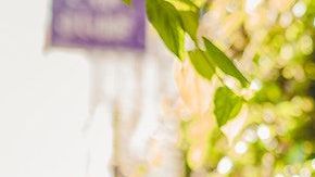 Géminis tiene una personalidad muy divertida.