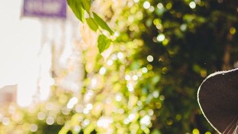 Géminis tiene una personalidad muy divertida.