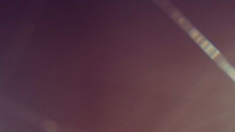 Conoce los diferentes significados de soñar con las arañas.