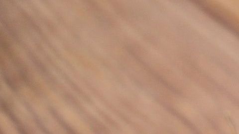 Los ajos tienen interesantes propiedades esotéricas.