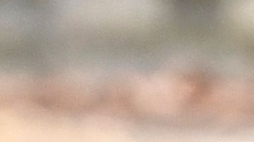 como se conocieron cristiano y georgina