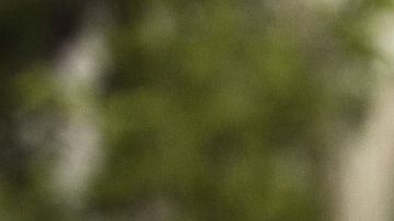 Poner máscaras faciales en bebés y niños para protegerlos de una potencial infección por coronavirus podría ser mortal.