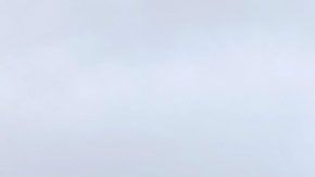 Las muestras gratis se volverán a dar a mediados de este mes.