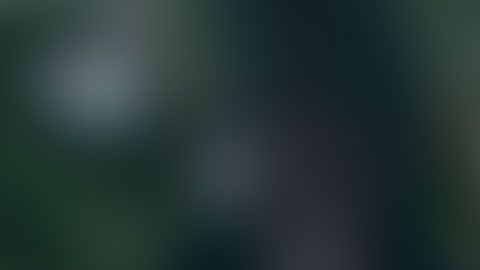 La policía dijo que varios manifestantes agredieron a los agentes mientras intentaban arrestar a los sospechosos y dañaron un vehículo policial.