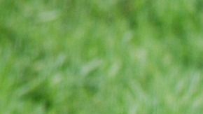 Los niños son los más vulnerables al mal de espanto.