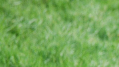 Los niños son los más vulnerables al mal de espanto.