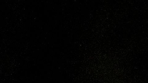 Arrestos en protestas en L.A.