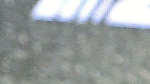 dana white conor mcgregor