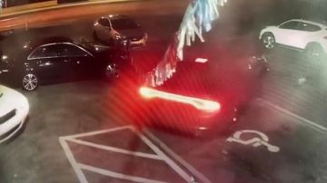Las cámaras captaron el momento en el que robaron tres autos del concesionario de Fort Lauderdale.