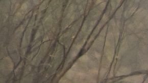 "Dime Quién Soy", la nueva serie de Telemundo International Studios y Movistar+. / Foto: Telemundo