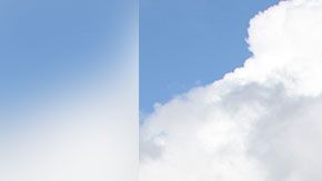 Podrás llevar a un amigo o familiar para que los dos vivan esta gran experiencia.