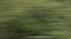 Algunos apenas se fueron y ya se les extraña