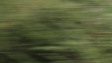 Algunos apenas se fueron y ya se les extraña