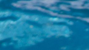 Aunque el niño esté en la piscina con los flotadores de brazos y el de forma de dona, éste no está seguro.