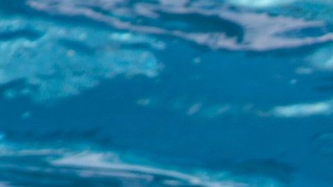 Aunque el niño esté en la piscina con los flotadores de brazos y el de forma de dona, éste no está seguro.