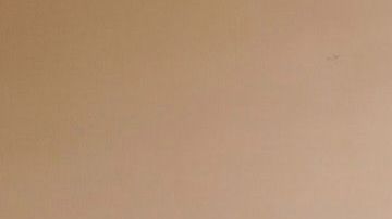 Descubre cómo tener un hogar próspero y tranquilo.