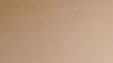 Descubre cómo tener un hogar próspero y tranquilo.