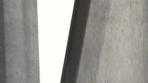 dwyane wade gabrielle union