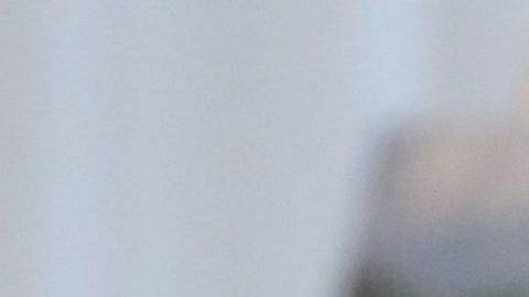 John Bolton, Donald Trump