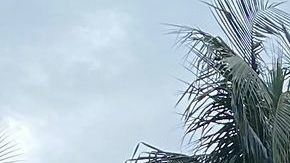 Pintadas en la estatua de Cristóbal Colón en el centro de Miami.