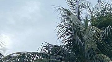 Pintadas en la estatua de Cristóbal Colón en el centro de Miami.