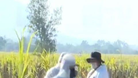 Fosas clandestinas en Xalisco, Nayarit