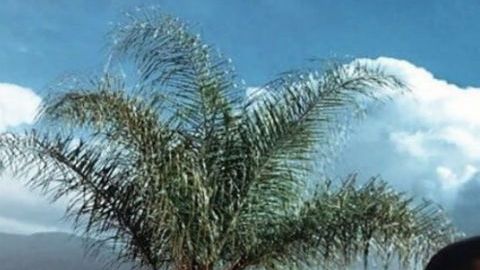 El Chapito nueva foto