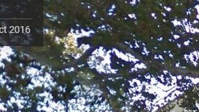 El alumno fue detenido en la MS 135/Bronx Park Middle School.,