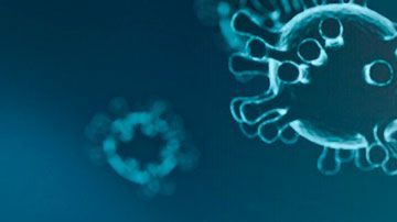 Al contactarte, los criminales comienzan a hacerte preguntas sobre tus datos financieros.