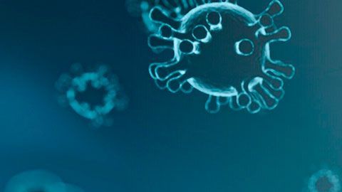 Al contactarte, los criminales comienzan a hacerte preguntas sobre tus datos financieros.